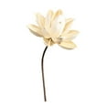 thumbnail image 4 of Ramo de flores secas para jarrón, arreglo floral con plantas secas, bricolaje decorativo para bodas, salas de estar, dormitorios, decoración del hogar Estilo M, 4 of 8
