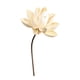 thumbnail image 4 of Ramo de flores secas para jarrón, arreglo floral con plantas secas, bricolaje decorativo para bodas, salas de estar, dormitorios, decoración del hogar Estilo M, 4 of 8
