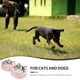 thumbnail image 4 of Comedero doble de acero inoxidable para mascotas, antideslizante, con base de plástico para perros y gatos pequeños y grandes., 4 of 5