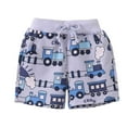 thumbnail image 1 of MIASHUI Toddler Boys Shorts Animal Graphic Print Drawstring Trunks Shorts Beach Bottoms,Light Gray,1-2 Years, 1 of 7