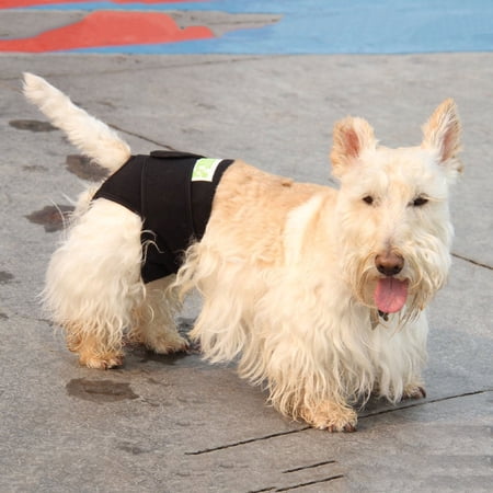 UPC: 0700755526885 | HEALERS Therapeutic-Anxiety Body Wrap Rear Module -MEDIUM