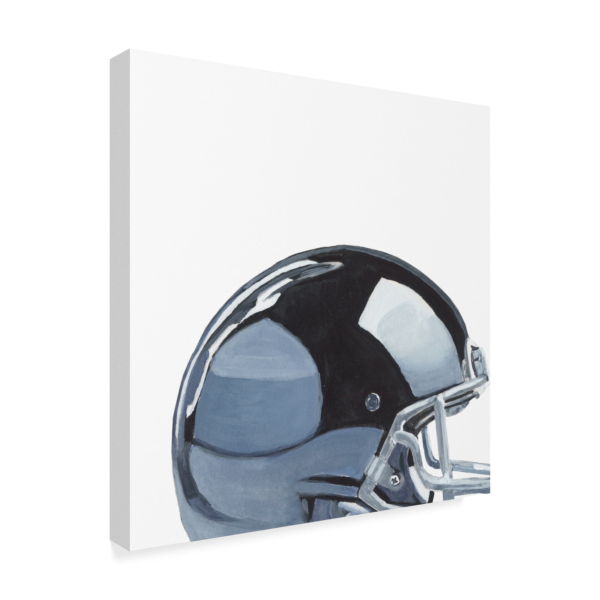 Trademark Fine Art 'Sporting VIII' Canvas Art by Naomi McCavitt
