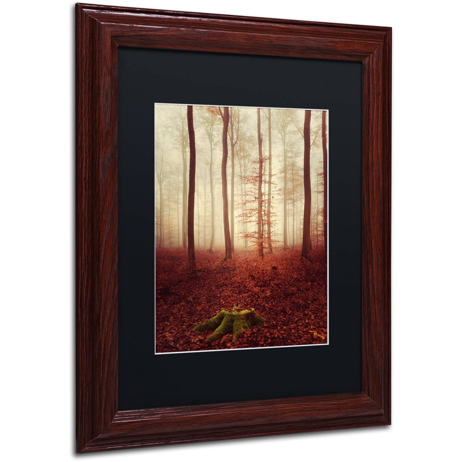 Trademark Fine Art "Land of the Free" Canvas Art by Philippe Sainte-Laudy Black Matte, Wood Frame