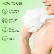 Botanic Hearth Tea Tree Body Wash for Dry Itchy Skin, Antifungal Body Wash with Tea Tree Oil, Sulfate & Paraben Free, 16 fl oz, Pack of 2