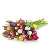Rainbow Mix Premium Dutch Tulips
