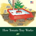 thumbnail image 6 of Dalen Gardeneer Tomato Tray Super Boost – Increases Tomato Plant Yield up to 40% – Easy to Install – 12" x 12" x 3.5" – Pack of 3, 6 of 6