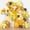 Yellow Gold, variant on 153pcs Bee Balloon Arch Garland Kit, Different Sizes 18 12 10 5 inch Mustard Pastel Yellow Gold Confetti Balloons for What Will It Bee Gender Reveal Sunflower Honey Birthday Party Decorations