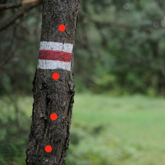 DINHEAROM Reflective Tacks for Trees Thumb Tacks Red Iron 50Pcs for Groups