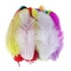 thumbnail image 2 of 100 Plumas de Gallina de Colores Brillantes para Manualidades Mezclado, 2 of 9