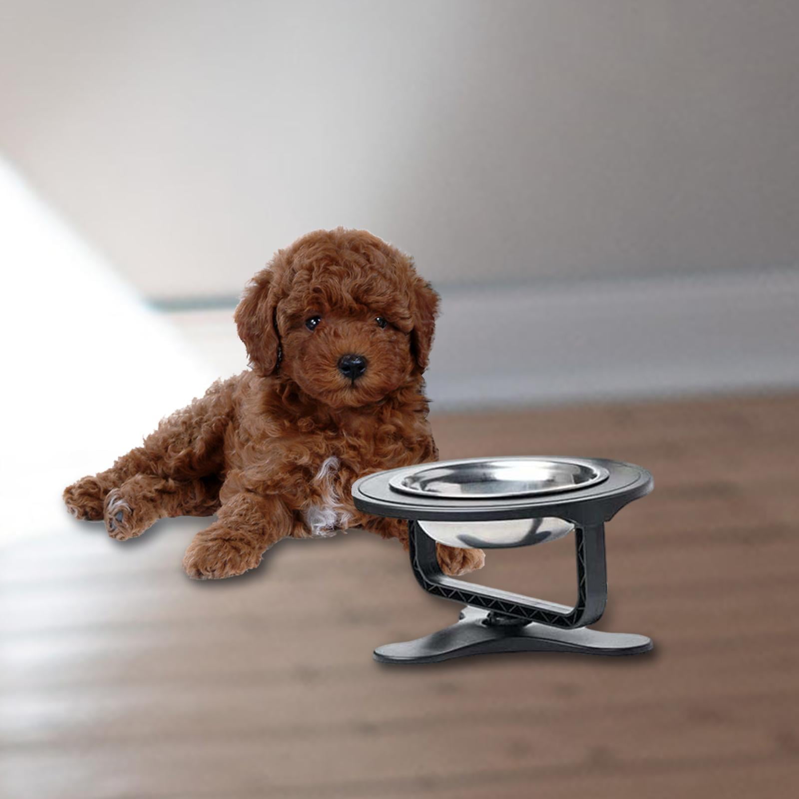 Stgfyxgs Elevated Raised Dogs Bowl Stand Dog Cat Feeder Dog Dish for 0-20 degree Adjustable