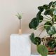 thumbnail image 3 of 3pcs Iron Air Plant Stand Container Tillandsia Holder Tabletop Plant Pot Display Rack Vase with Wooden Base, 3 of 4