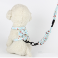 thumbnail image 1 of I-shaped cat chest, pull rope, chain cat rope (S), 1 of 3
