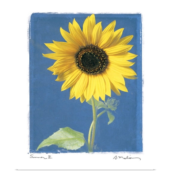 Great BIG Canvas | Rolled Amy Melious Poster Print entitled Summer II