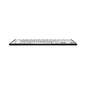 Large Print - Black on White Mini Bluetooth Keyboard - Mac