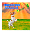 thumbnail image 3 of Kit 4 Juguetes Interactivos Cuerda Pelota Resistente Mascota Belug Multicolor, 3 of 5