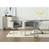 Dayalane Modern Barrel Dining Chairs Set of 2, Velvet Upholstered Kitchen snd Dining Room Side Chairs, Comfy Armchair with Metal Frame for Dining Room Living Room Bedroom Cafe, Grey