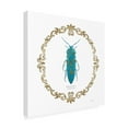 thumbnail image 2 of James Wiens 'Adorning Coleoptera VIII Sq' Canvas Art, 2 of 4