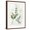 Brown Frame, variant on Art.com Rosemary and Sage Art Print by Elissa Della-piana, 12" x 16"