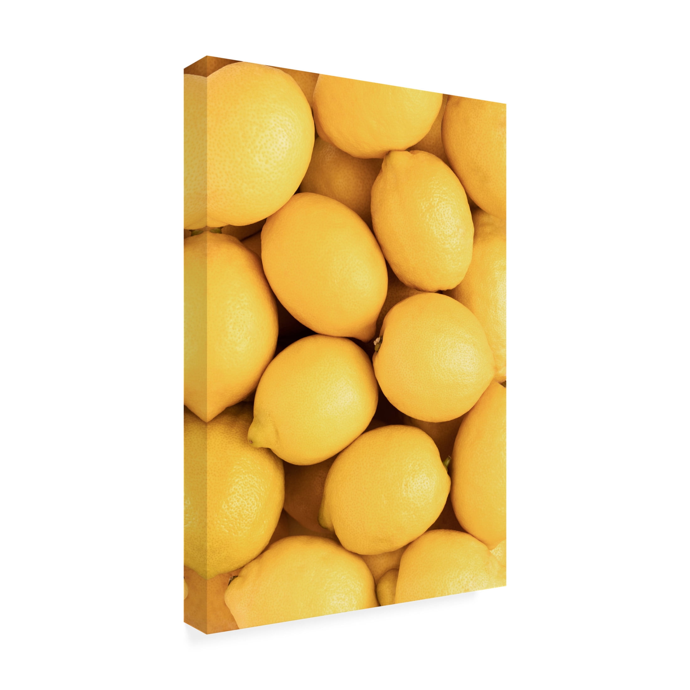 Pictufy Studio III 'Lemons 3' Canvas Art - 12 x 19 Inches