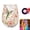 Comfortable hummingbird, variant on 2026 Floral Hummingbird Glass Cup with LED Light Base, Decorative Tea Cup and Coffee Mug for Women, Illuminated Garden Drinkware for Home Office, Gift for Tea Lovers (250th Anniversary A)