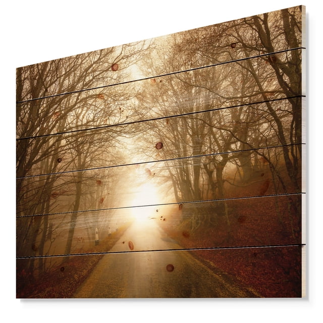 Design Art - Chemin vers la Lumière du Soleil dans la Forêt d'Automne