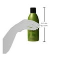 thumbnail image 5 of ShiKai Natural Tea Tree Shampoo, 12 oz, 5 of 6