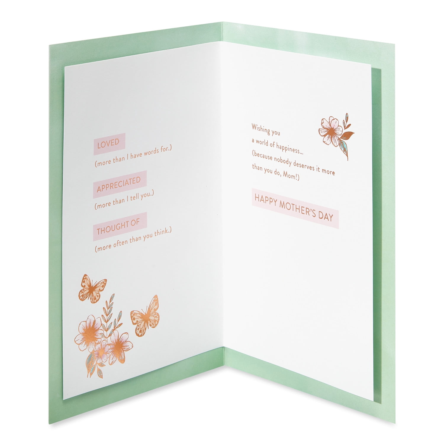 American Greetings Mother's Day Card for Mom (LOVED APPRECIATED)