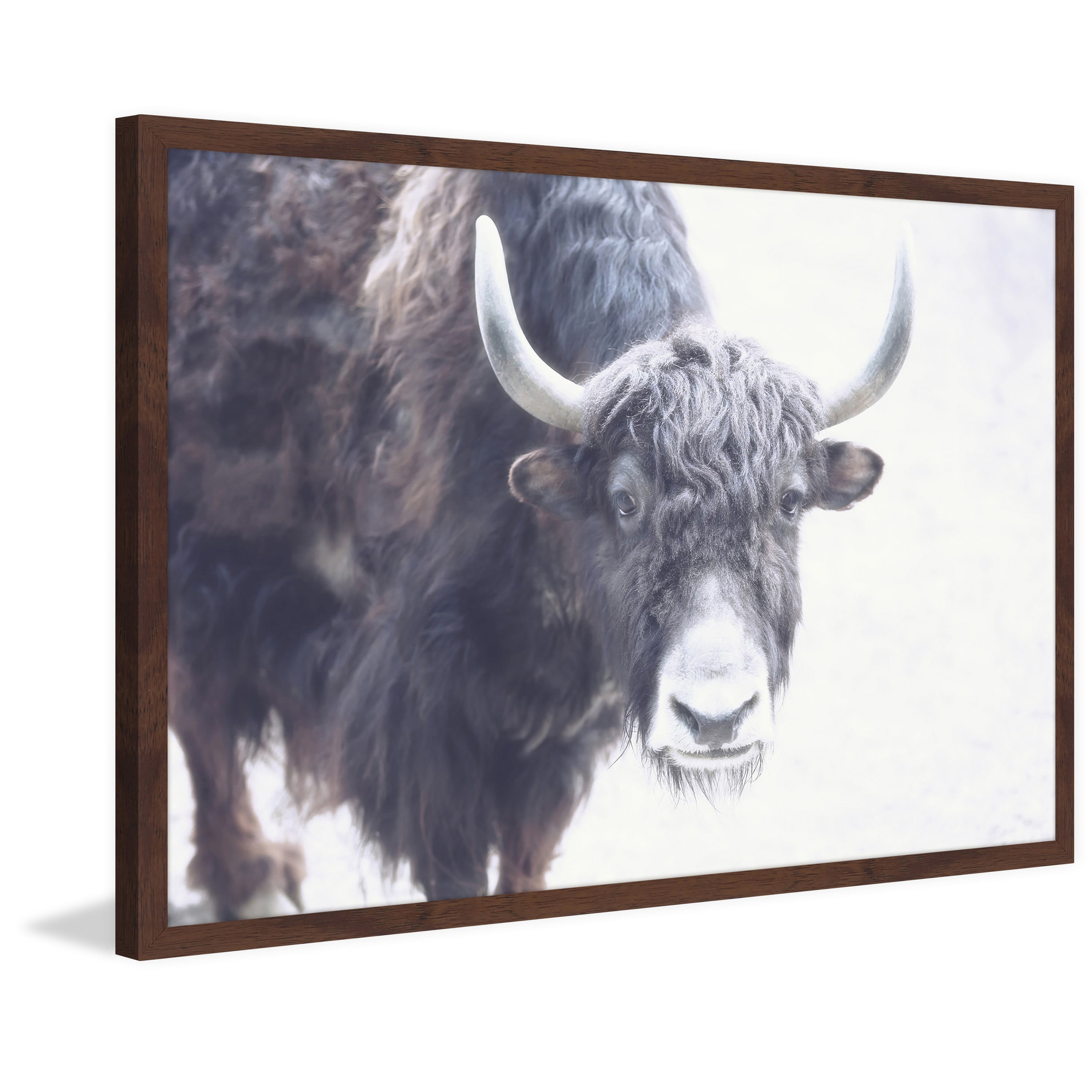 Marmont Hill "Suspicious Gaze" Framed Painting Print