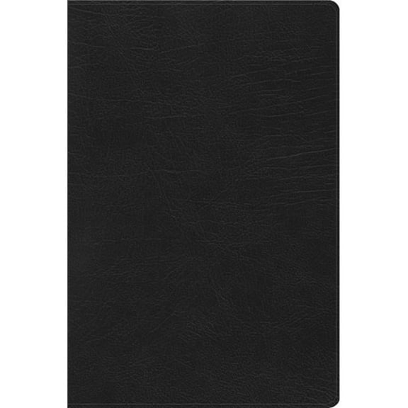RVR 1960 Rainbow Study Bible, Black Imitation Leather