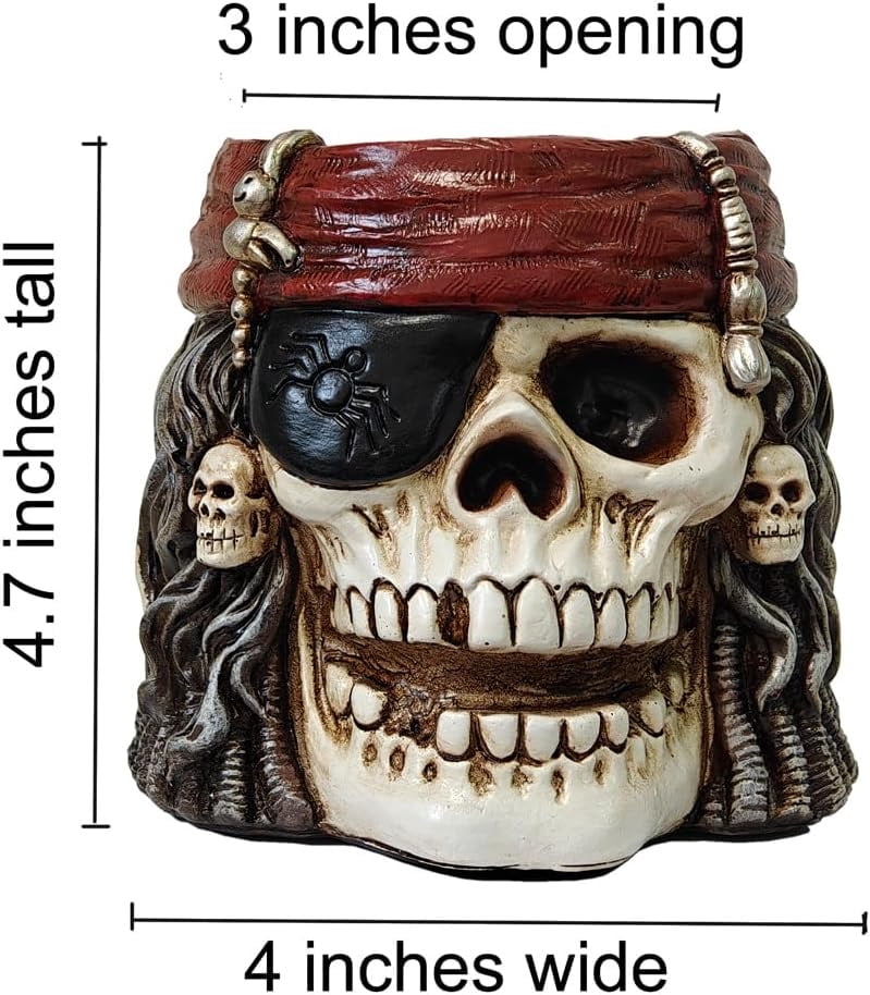 Pirate Skull Planter Flowerpot with Drainage Hole for Gothic Home Decor