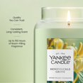 thumbnail image 3 of Yankee Candle Honeysuckle Grove Original Large Jar Scented Candles, 22 oz, 3 of 6