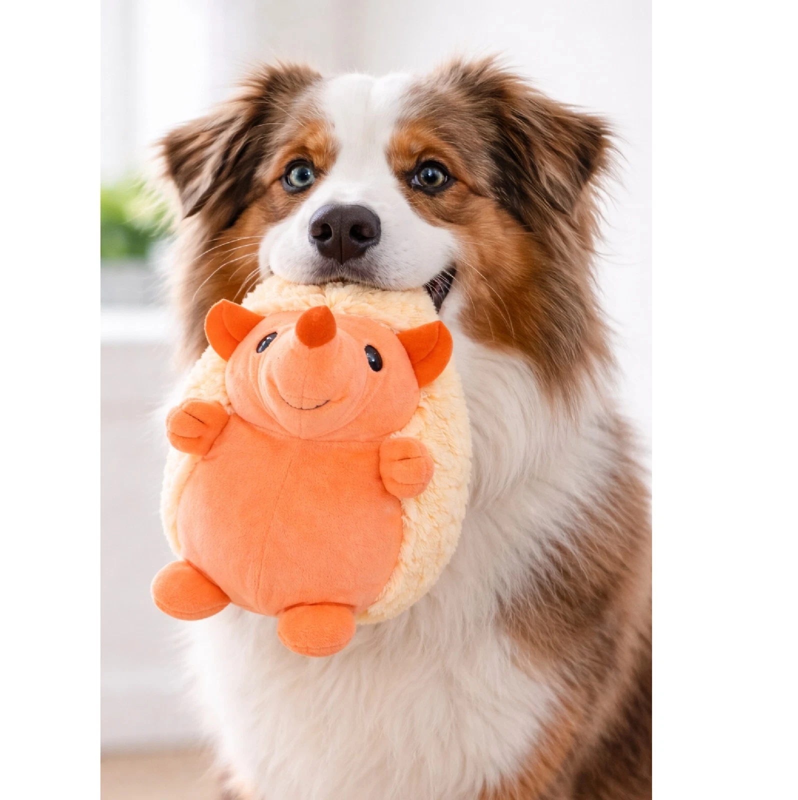 8" Plush Hedgehog Dog Toy Interactive Honking Choose Color or Full Set of 4 (Hot Pink)