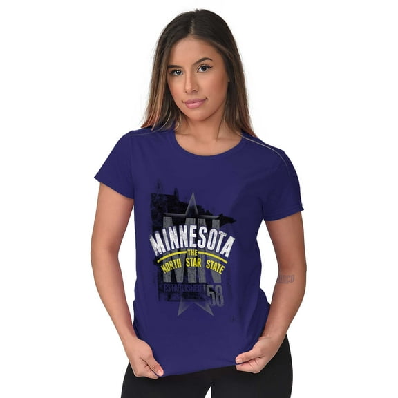 Minnesota Distressed State Shape MN Womens Fitted Plus Size Graphic Tee Brisco Brands 2X
