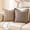 Brown Bubble, variant on Pentantan Decorative Throw Pillow, 18"x18" Soft Couch Pillows with 2-Pack Inserts, Boho Floral Cushion for Sofa Living Room Bedroom, Brown