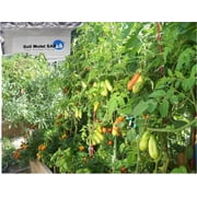 Soil Moist SAP High-Molecular-Weight Super Absorbent Polymers for Use in Indoor and Outdoor Plants and The Field of Agriculture 3 Pounds