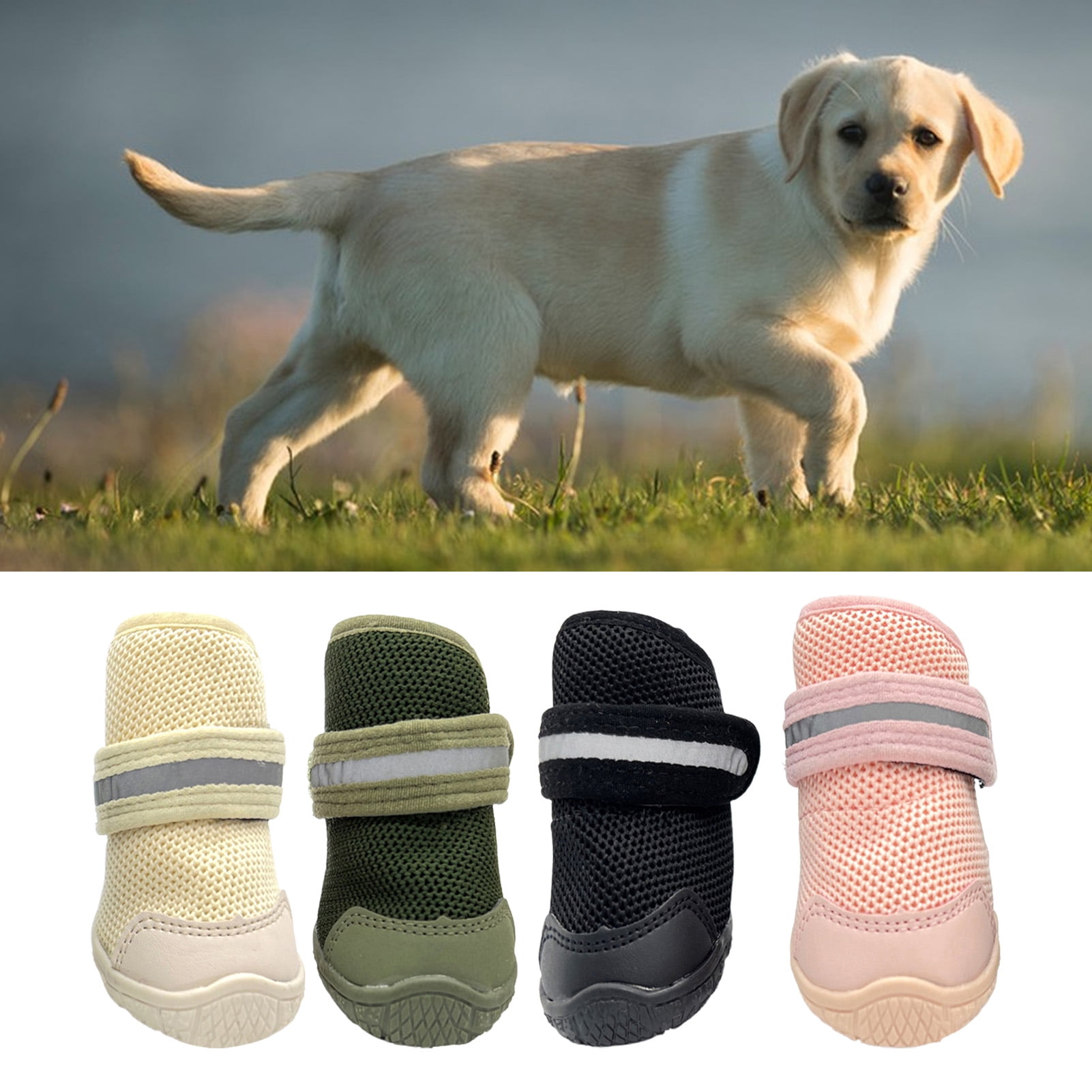 Chewy dog shoes 2025