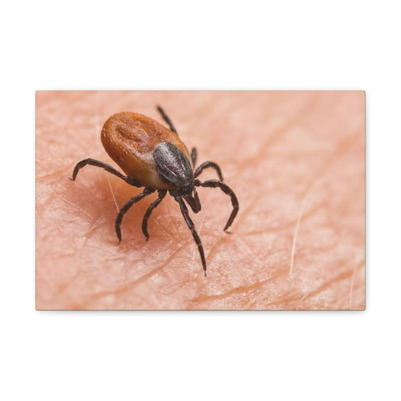 Tick Hunting  Tick on Hunt Print Animal Wall Art Wildlife Canvas Prints Wall Art Ready to Hang Unframed