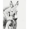 thumbnail image 2 of PHBurchett   12x14 White Modern Wood Framed Museum Art Print Titled - Donkey Portrait V, 2 of 4