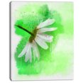 thumbnail image 2 of White Chamomile with Green Splashes - Floral Canvas Art Print, 2 of 3