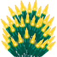 thumbnail image 1 of Cadena de luces TWINGLEHOME 100 incandescentes amarillas de 6 m, 1 of 6