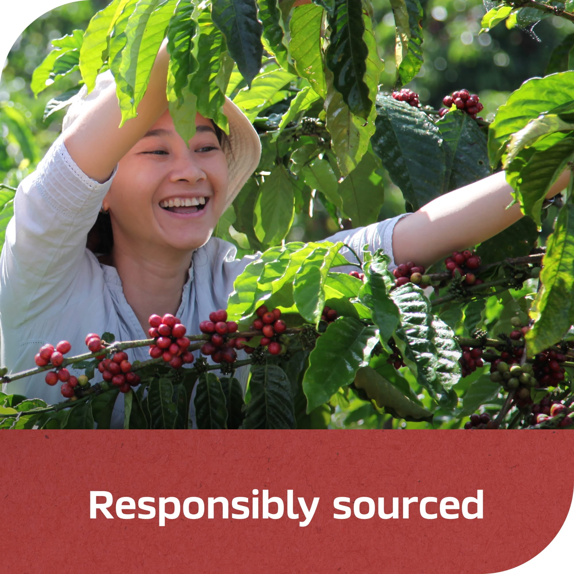 (2 pack) NESCAFÉ CLÁSICO Dark Roast Coffee, Instant Coffee, 7 oz, 1 Jar