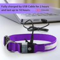 thumbnail image 4 of Light Up Dog Collar, Dog Lights for Night Walking USB Rechargeable Waterproof 7 Colors LED Dog Collar Adjustable for Small Medium Large Dogs Glow in t, 4 of 4
