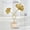 Gold, variant on Modern Iron Ginkgo Leaf Desk Decor with Wood Base, Minimalist Metal Plant Statue Art