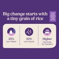 thumbnail image 5 of Jasberry Organic Superfood Rice, Vegan, 7oz 6 Pack, Original, 5 of 5