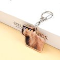 thumbnail image 1 of Capybara-Llavero acrílico creativo para mujer, accesorio colgante de dibujos animados de animales, Popular para bolso, llave de coche, regalos, 1 of 4