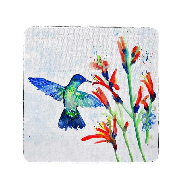 Colibri & Feu Plante Coaster - Lot de 4