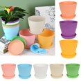 thumbnail image 4 of 1Pc Mini Plastic Flower Pot Round Planters Candy Color Succulents Plant Pot Office Desktop Balcony Home Garden Decor, 4 of 9