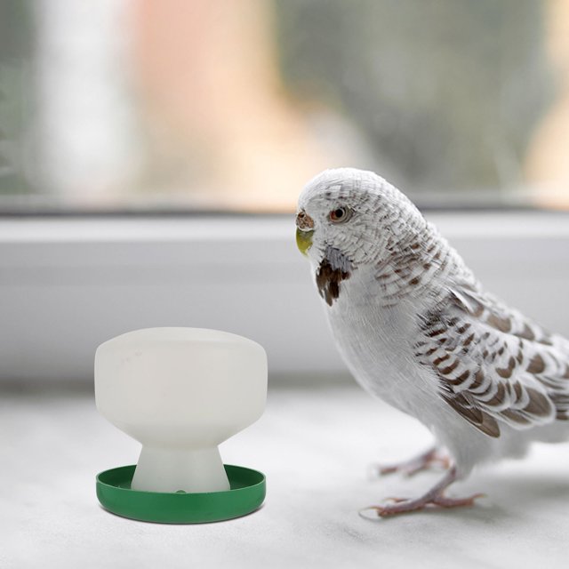 FOMIYES 2Ud De Para Jaula De Loros Plástico Y Confiable Para Mascotas