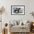 thumbnail image 4 of Historic Framed Print, The Cavalier. The young soldier and his horse on duty [a]t camp Cheyenne.photo and copyright by Grabill., 17-7/8" x 21-7/8", 4 of 9