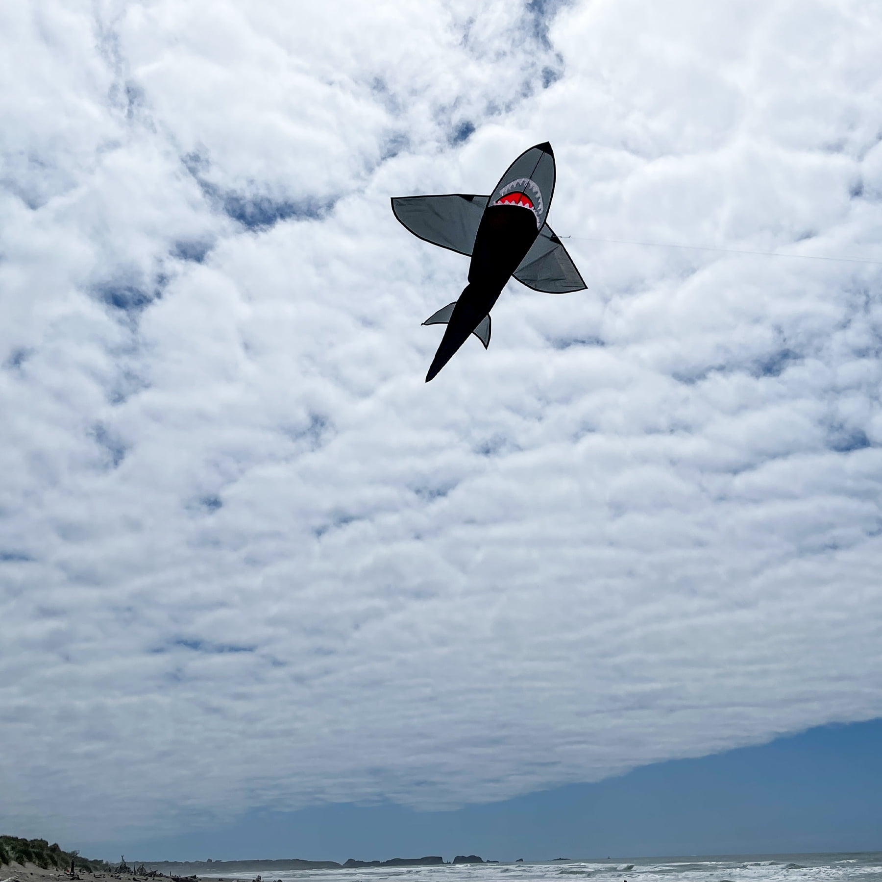 In the Breeze 3343 — 5' Black 3D Shark Kite — Fun Easy Flying Single-Line Sea Life Kite for All Ages